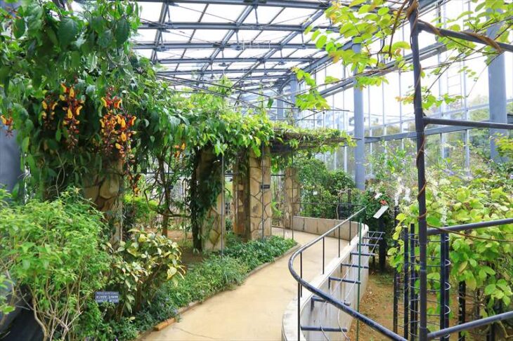植物園